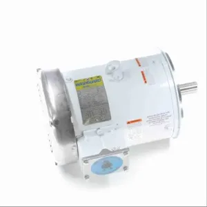 LEESON 132439.00 Washdown Brake Motor, 3 hp, Painted Finish, 3 Phase, 1770 Rpm | CH6HTT 48ZG36