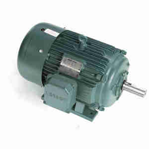 LEESON 170015.60 C286T17FB5C General Purpose Motor 50-60 Hertz | AJ2TCV C286T17FB5C