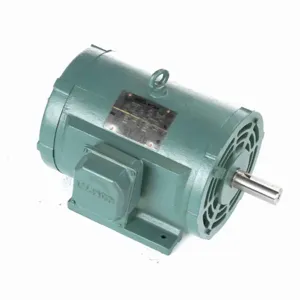 LEESON 170144.60 C215T17DB49D General Purpose Motor 50-60 Hertz | AJ2TEZ C215T17DB49D