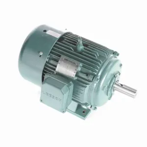 LEESON 171779.60 C284T17FW1A Severe Duty Motor 50-60 Hertz | AJ2TKN C284T17FW1A