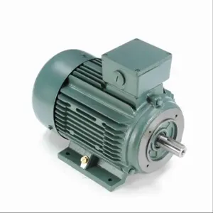 LEESON 193373.60 C160T34FZ65A General Purpose Motor 50-60 Hertz | AJ2TWL C160T34FZ65A