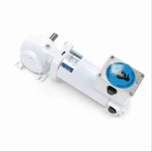 LEESON M1125279.00 Right Angle Gearmotors, Right Angle, 90V DC, Tenv, 250 Rpm, 50 In-Lb Max Torque | CR8PNE 794C07