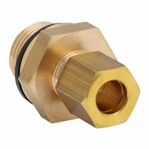 LEGRIS 0101 08 17 Metric Brass Compression Fitting, Brass, BSPP x Compression, 3/8 Inch Size Pipe Size | CR8QDC 791DJ2