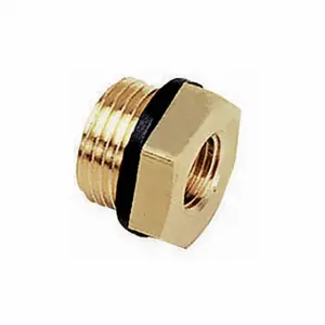 LEGRIS 0168 17 13 Reducing Adapter, Brass, 1/4 Inch X 3/8 Inch Fitting Pipe Size, Female Bspp X Male Bspp | CR8TBD 60XJ60