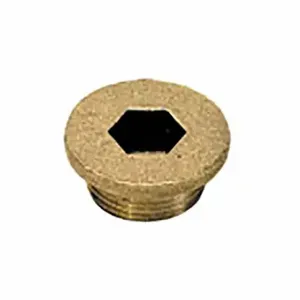 LEGRIS 0202 71 00 Internal Hex Head Plug with Collar, Brass, M14 Fitting Pipe Size, Metric | CR8RCT 60XJ97