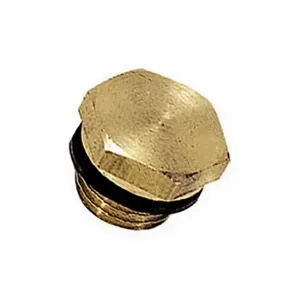 LEGRIS 0220 13 00 Hex Head Plug, Brass, 1/4 Inch Fitting Pipe Size, Male Bspp, 1/4 Inch Overall Length | CR8REM 60XK21