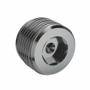 LEGRIS 0285 34 00 Internal Hex Head Plug, 316L Stainless Steel, 1 Inch Size Fitting Pipe Size, Male BSPT | CR8REG 60XK39