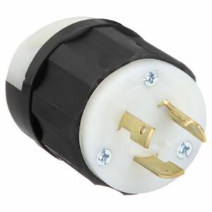 LEVITON 2311 Locking Plug, L5-20P, 125V AC, 20 A, 2 Poles, Black/White, Screw Terminals, L5-20 | CR9HDU 792T39