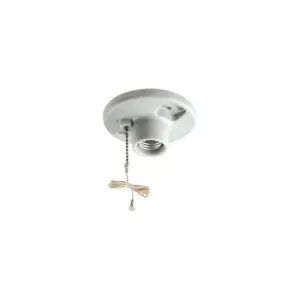 LEVITON 29816-C Lampholder, Medium Screw, 660 W Watts, Box Mount Porcelain Lampholder Pullchain | CR9GZU 799L75