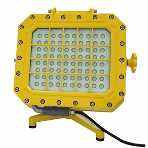 LIND EQUIPMENT XP980LED-FS Flood Light, 24000 lm Max Brightness, LED, 11 Brightness Levels, 1 Lamp Heads | CR9MTR 785TX4