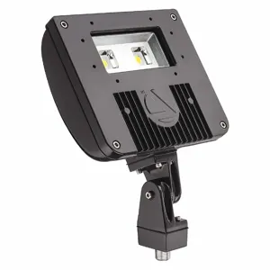 ACUITY LITHONIA DSXF1 LED P2 50K M4 5579 Lumens General Purpose Floodlight, Dark Bronze | CD2LLG 52XH93