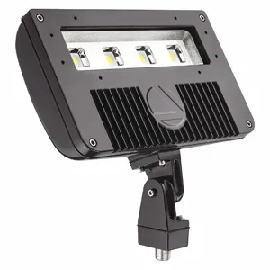 ACUITY LITHONIA DSXF2 LED P1 50K M2 7794 Lumens General Purpose Floodlight, Dark Bronze | CD2LLH 52XH94