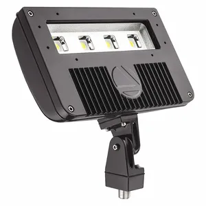 LITHONIA LIGHTING DSXF2 LED P2 50K M2 Floodlight, 10678 lm, 78 With Fixture Watt, 120 to 277 VAC, 250W MH/HPS | CR9PRN 52XH95