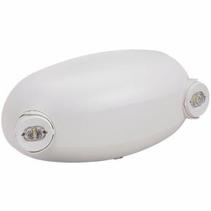 LITHONIA LIGHTING ELM2L M12 Notlicht, LED, für feuchte Standorte geeignet, 1.2 W Lampenwatt, 120/277 VAC | CR9PQW 483U30