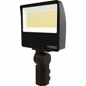 LITHONIA LIGHTING ESXF4 ALO SWW2 YS DDB M2 Floodlight, 16000 lm, 100 With 150 With 17 With 34 With 56 With Fixture Watt | CR9PRQ 802NE4