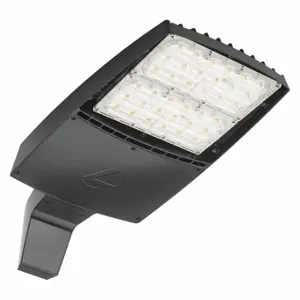 LITHONIA LIGHTING RSX2 LED P6 40K R4 MVOLT RPA FAO DDBXD Parking Lot Light Fixture, Pole, 30, 663 lm, 244 W Fixture Watt, Type IV Wide | CR9QAX 494P63