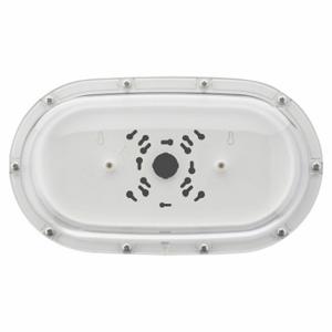 LITHONIA LIGHTING WPVS LRG W Nassschutz-Vandalenschutz, Nassschutz-Vandalenschutz, 9 1/4 Zoll Gesamthöhe | CR9QBD 784H13