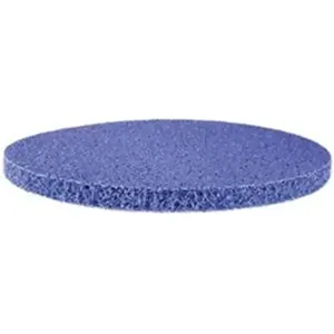 LITTLE GIANT PUMPS 170301 Filter Pad, Small | BQ4EUY