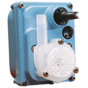 LITTLE GIANT PUMPS 521203 geschmierte Pumpe, 1/200 PS, 115 V | BP9CNM
