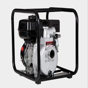 LITTLE GIANT PUMPS 617034 Water Transfer Pump, 208 CC, 2 Inch MNPT, 25 Feet Suction Lift | CV8PJC 6RLAG-2LST