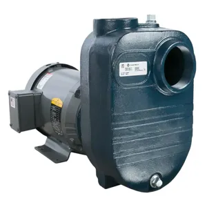 LITTLE GIANT PUMPS 92932050 Pump, 3 Inch, 5 Hp, 1 Phase | BP7NDZ FBSEF-500-SC