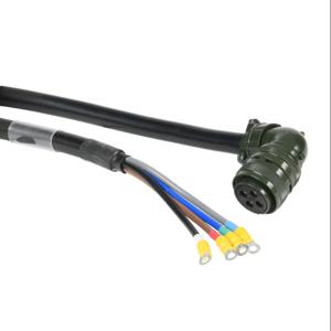 LS ELECTRIC APCS-PN10JS-AD Power Cable, Mating Connectors, 32.8 ft. Cable Length | CV7EKC