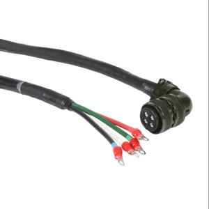 LS ELECTRIC APCS-PN10JS2-AD Power Cable, Mating Connectors, 32.8 ft. Cable Length | CV7EKB