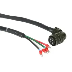 LS ELECTRIC APCS-PN10JS2-AD Power Cable, Mating Connectors, 32.8 ft. Cable Length | CV7EKB