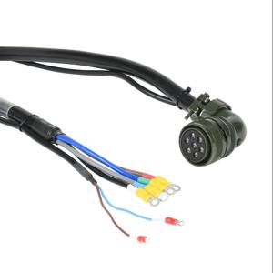 LS ELECTRIC APCS-PN10LB-AD Power Cable, Mating Connectors, 32.8 ft. Cable Length | CV7EKE