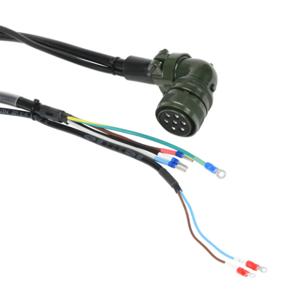 LS ELECTRIC APCS-PN10PB-AD Stromkabel, Gegenstecker, 32.8 Fuß Kabellänge | CV7EKJ