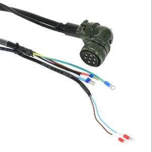 LS ELECTRIC APCS-PN20PB-AD Power Cable, Mating Connectors, 65.6 ft. Cable Length | CV7EKV