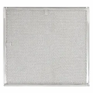 MANITOWOC 3005699 Air Filter | CT2EEK 28ZJ68