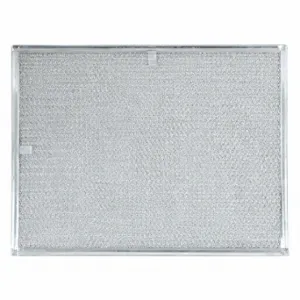 MANITOWOC 3005939 Air Filter | CT2EEH 43EH61