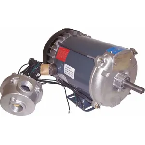 MARATHON MOTORS 056T17G15604 1 HP Hazardous Location Motor, 3-Phase, 1725 Nameplate RPM | CD2MRR 407M09