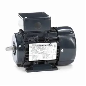 MARATHON MOTORS 063T17FH5326 R301 Metric Motor 50-60 Hertz | AJ2LCK 24ME07 / R301