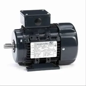 MARATHON MOTORS 071T17FH5327 R307 Metric Motor 50-60 Hertz | AJ2LRG 24ME15 / R307