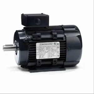 MARATHON MOTORS 090LT34FH6301 R321A Metric Motor 50-60 Hertz | AJ2LRR 24ME90 / R321A