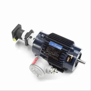 MARATHON MOTORS 145THEN8034 Vector Motor 2 Hp 3600 Rpm 230/460v | AF8KVL 26WC66 / Y979