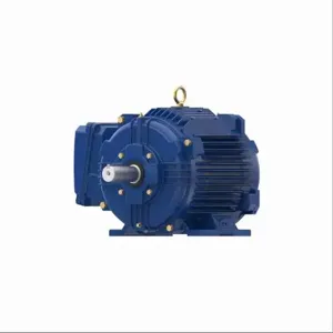 MARATHON MOTORS 213TTTCD6501 Severe Duty Motor, Totally Enclosed Nonventilated, Rigid Base Mount, 7 1/2 Hp | CT2FWX 482P93