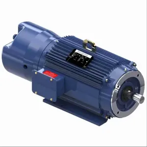 MARATHON MOTORS 213TTTHD16038 Brake Motors, Totally Enclosed Nonventilated, 213T Frame, Rigid Base Mounting | CT2FWN 61KJ29