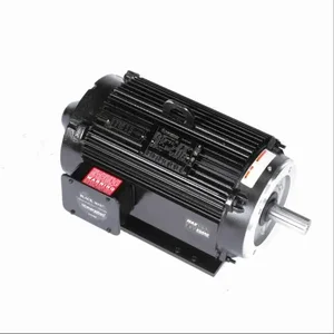 MARATHON MOTORS 215THTL7726 Vector Motor 30.0 Lb-ft 10 Hp 230/460 V | AE6KKY 5THY9 / Y547