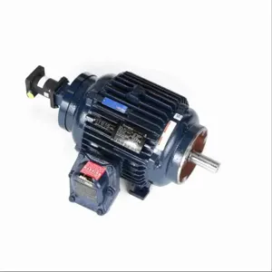 MARATHON MOTORS 254THEN8058 Vector Motor 7-1/2 Hp 3600 Rpm 230/460v | AF8KVP 26WC69 / Y982