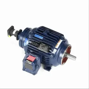 MARATHON MOTORS 254THEN8059 Vector Motor 10 Hp 3600 Rpm 230/460v | AF8KVQ 26WC70 / Y983