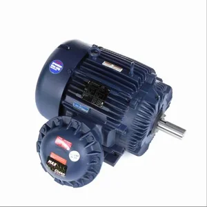 MARATHON MOTORS 364TTGS16577 Hazardous Location Motor 3-phase Tefc 40 Hp T3b | AE6YJL 5VYJ1 / E568A