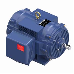 MARATHON MOTORS 447TSTDCD4002 Fire Pump Motor, Open Dripproof, Rigid Base Mounting, 300 HP, 3575 Nameplate RPM | CT2FQA 61KJ11