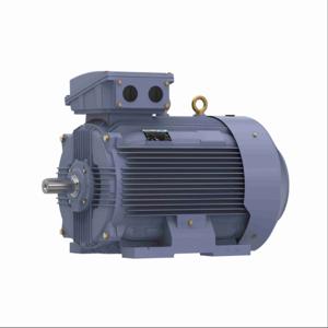 MARATHON MOTORS TCA0753AE211GAA009 General Purpose Motor, 100 hp, 3 Phase, 1190 Rpm, 230/460VAC | CH6RTM 55AZ20