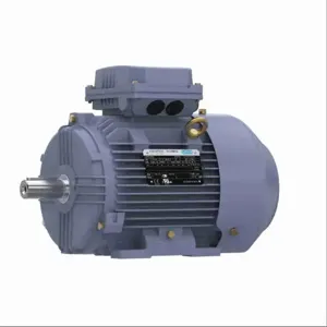 MARATHON MOTORS TCA0031AP211GAA009 Metric Motor, Totally Enclosed Fan-Cooled, Rigid Base Mount, 4 HP, 575V AC | CT2FWG 55AY75