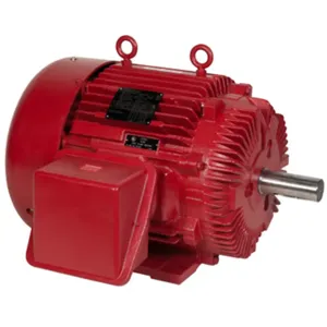 MARATHON MOTORS Y1611 Fire Pump Motor | AJ2PCB