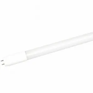 MAXLITE L9T8AB250-CG Linear LED Bulb, T8, Medium Bi-Pin, 2 ft Nominal Length, 5000K, 17 W LFL, 10 W Watts | CT2KMD 56LF74