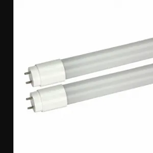 MAXLITE L9T8DE250-CG4 Linear LED Bulb, T8, Medium Bi-Pin, 2 ft Nominal Length, 5000K, 17 W LFL, 9 W Watts, LED | CT2KME 56LF92